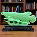 Cá Rồng Phong Thủy size to 